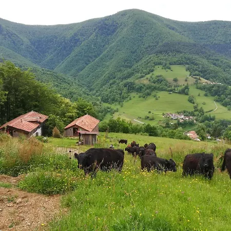 Du Pic Chalet Riverenert