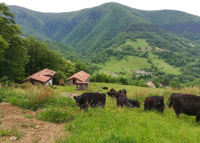 Du Pic Шале Riverenert